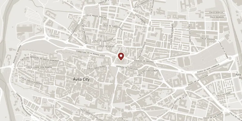 Map showing where Basílica de San Vicente is