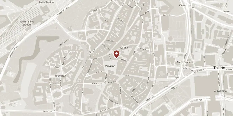 Map showing where Raeapteek, the Town Hall Pharmacy is